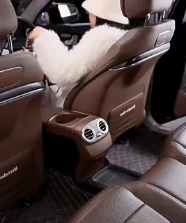 2Pcs Car Seat Back Cowhide Double Hooks Phone Holder