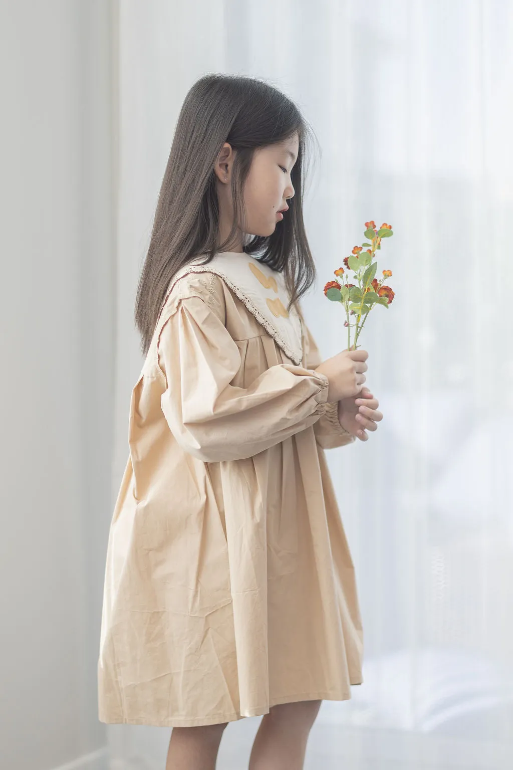Convertible Collar Dress