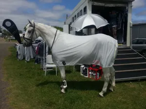 Equiline Flash Summer Gwen Fly Sheet - Green 5'3