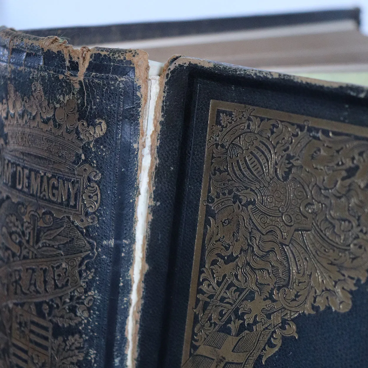 First Edition French Book: Vraie Science des Armoiries by Marquis Claude Drigon de Magny