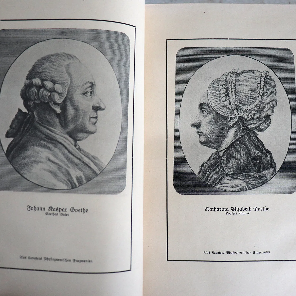 German Leather Book: Goethe, From my Life, Poetry and Truth by Goethe
