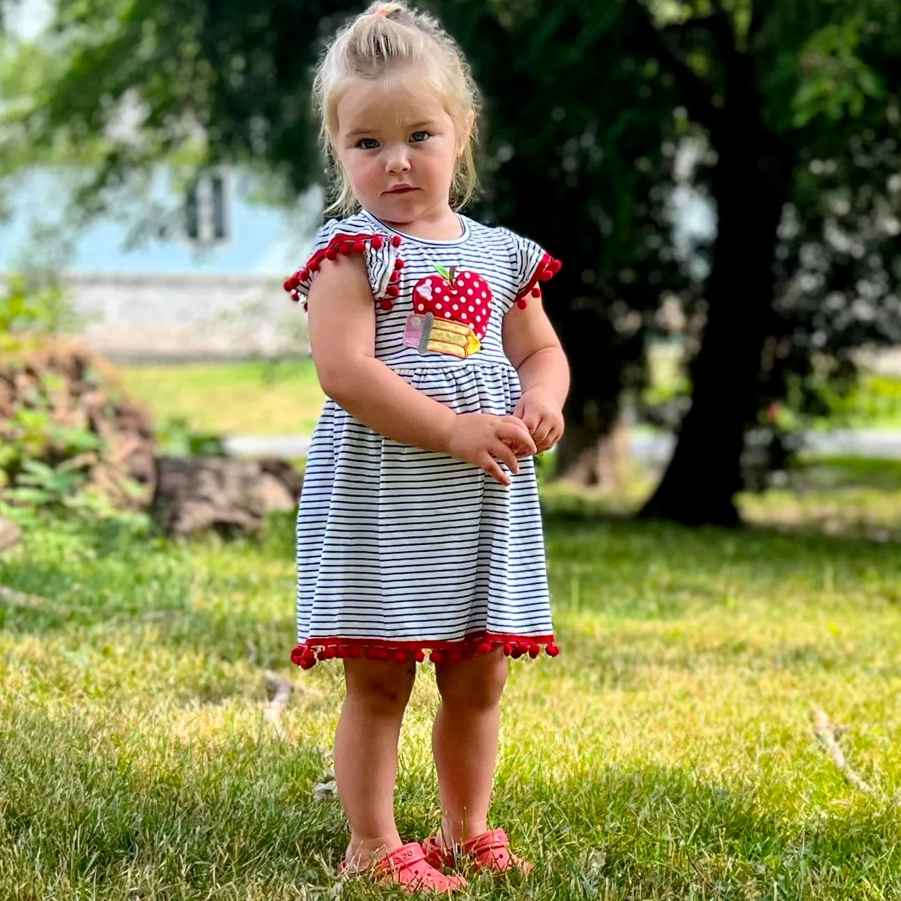 Girls Back to School Dress with Apple and Pencil applique