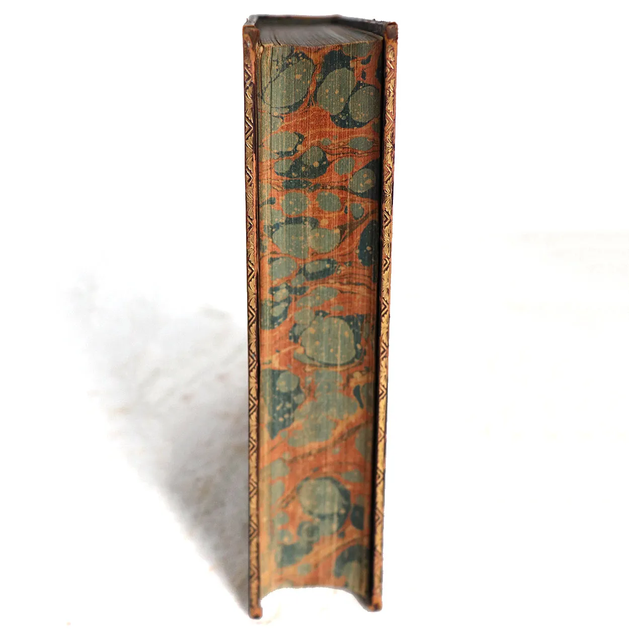Leather Book: The Poetical Works of Samuel Taylor Coleridge by James Dykes Campbell