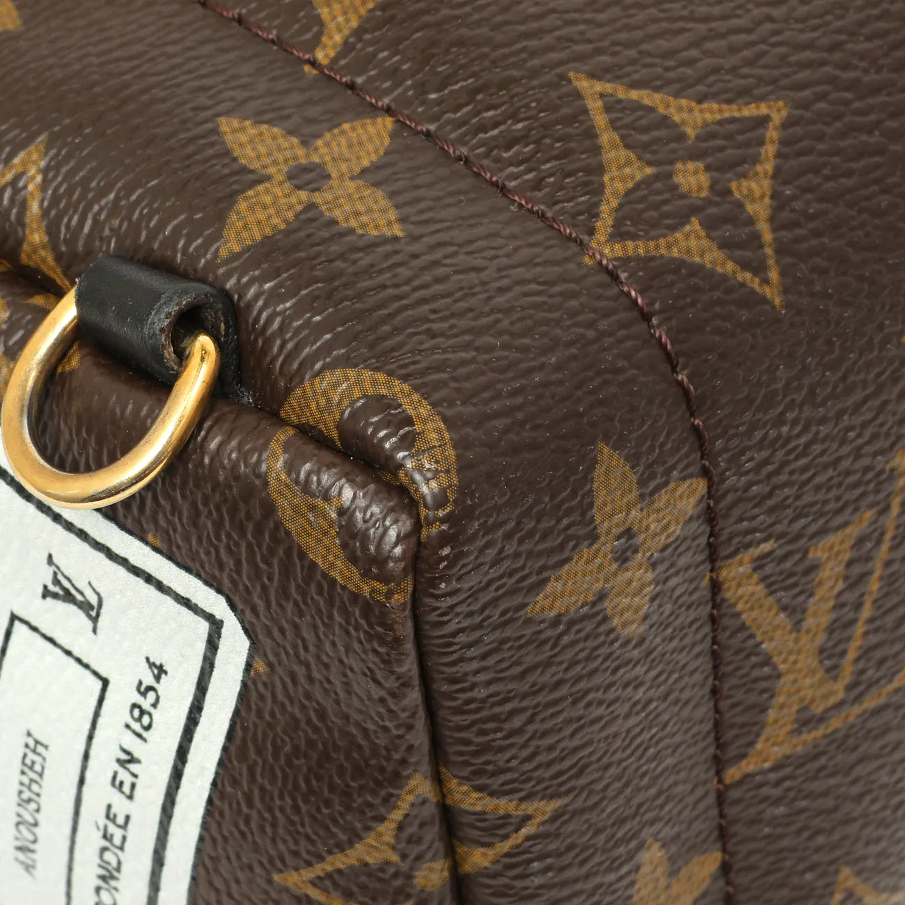 Louis Vuitton Monogram My World Tour Palm Springs Backpack Mini