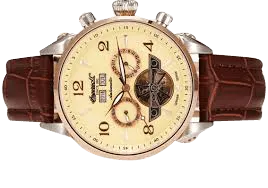 Men's San Bernardino Automatic Stainless Steel Watch with Brown Leather Band