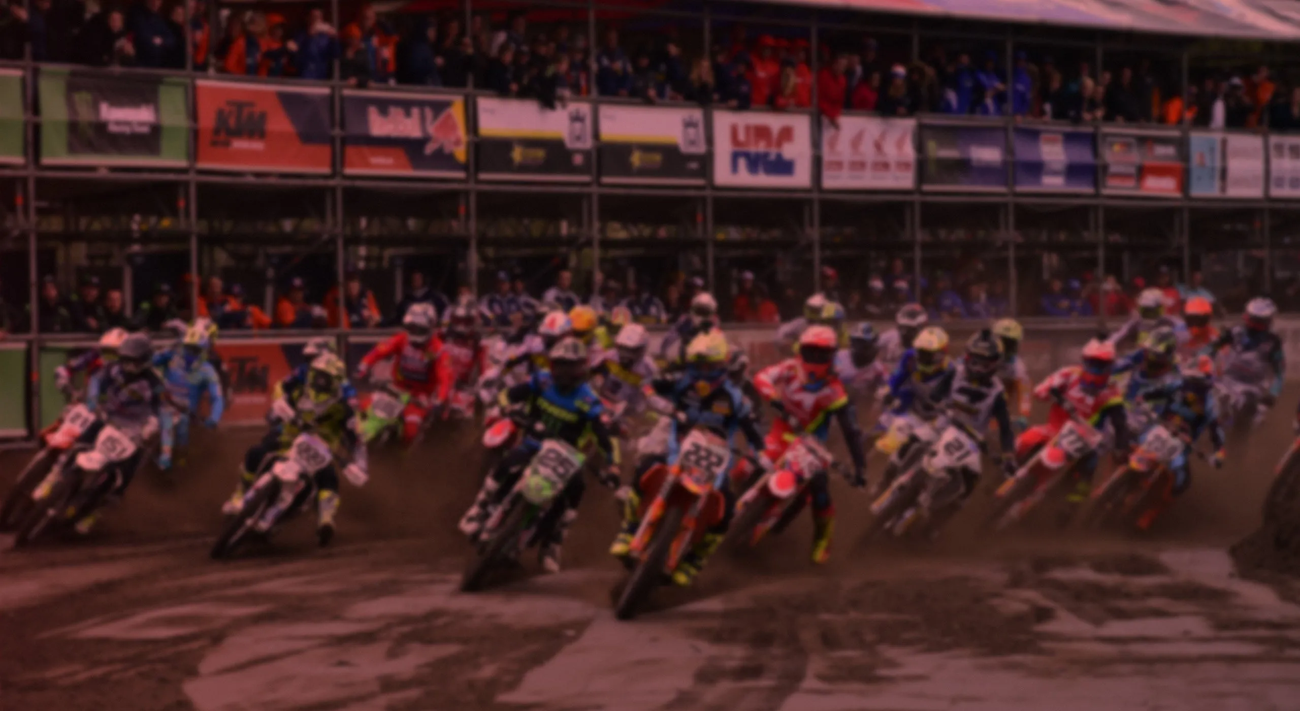 MXGP PRO (PC)