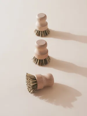 Natural Pot Scrubber