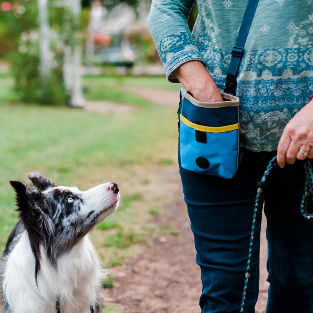 Scout & About Deluxe Training Pouch | River