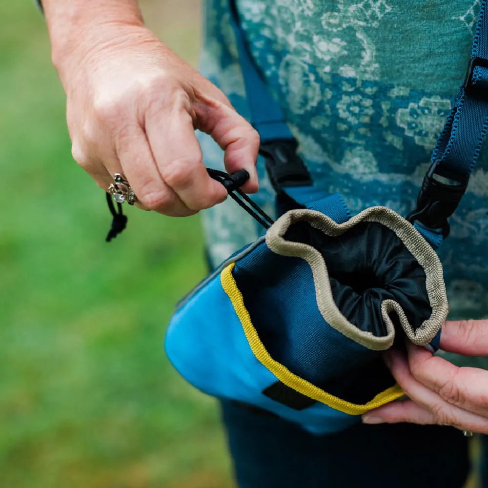 Scout & About Deluxe Training Pouch | River