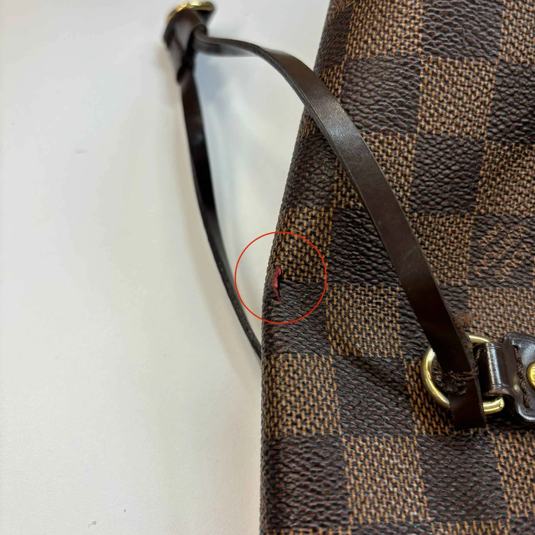 Women's Damier Neverfull Mm Tote Bag Brown